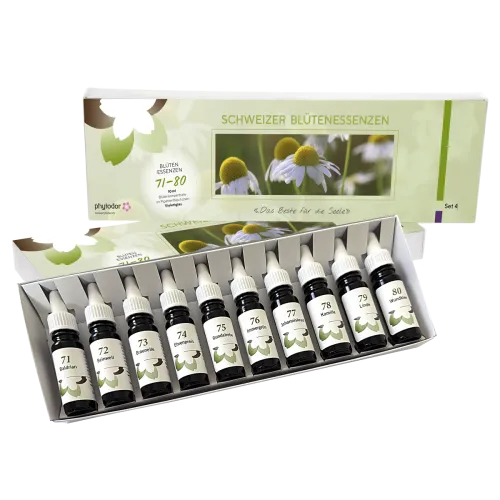 Phytodor Blütenessenzen-Set 4 Violettglas