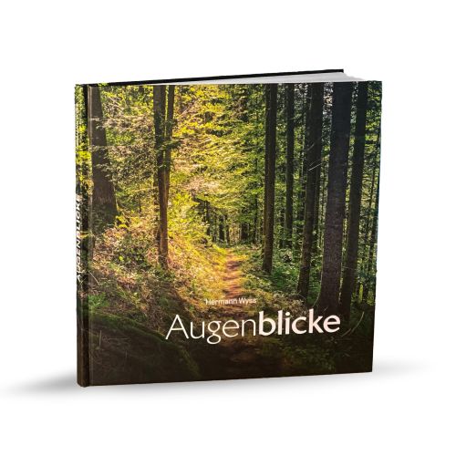 Augenblicke