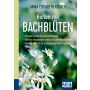 Heilen mit Bachblüten thumbnail