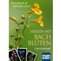 Kartenset Heilen mit Bachblüten thumbnail