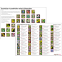 Phytodor Bachblüten-Orakel laminiert thumbnail