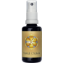 Phytodor Sakral Chakra-Spray thumbnail
