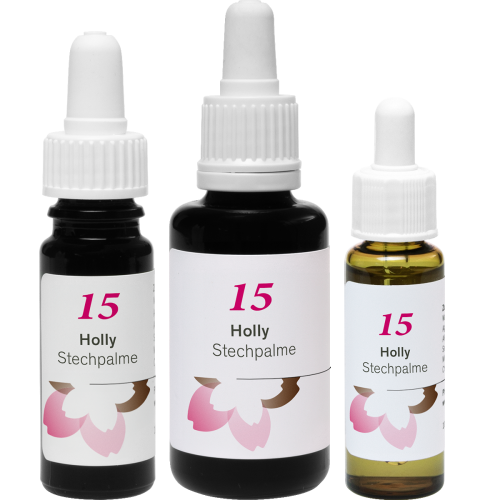 Phytodor Stockbottle - Bachblüte Nr. 15 - Holly / Stechginster