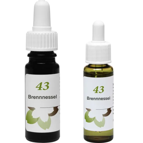 Phytodor Stockbottle Blütenessenz Nr. 43 - Brennnessel