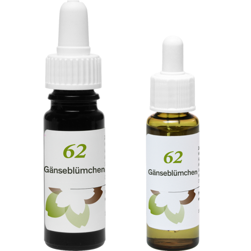 Phytodor Stockbottle Blütenessenz Nr. 62 - Gänseblümchen