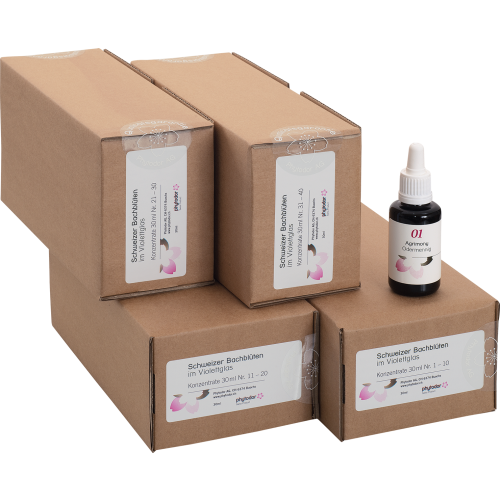 Phytodor Bachblüten-Set 30ml Violettglas