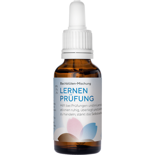 Phytodor Bachblüten-Mischung Lernen / Prüfung