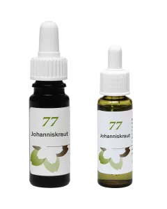 Phytodor Stockbottle Bl&uuml;tenessenz Nr. 77 Johanniskraut